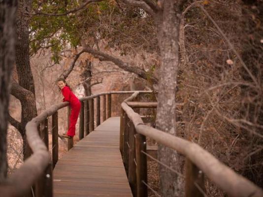 Moditlo River Lodge - 235853