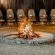 Moditlo River Lodge - 235865