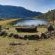 Kukummi Lodge - 235963