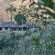 Kukummi Lodge - 235964