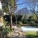 Hedge House - 236141