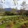 Summerhill Guest Farm - 236273