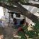 Bethesda Tower Accommodation - 236401