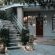 The Symphony Guesthouse - 236454
