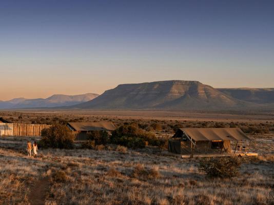 Samara Karoo Reserve - 236514