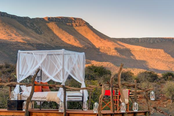 Samara Karoo Reserve - 236580