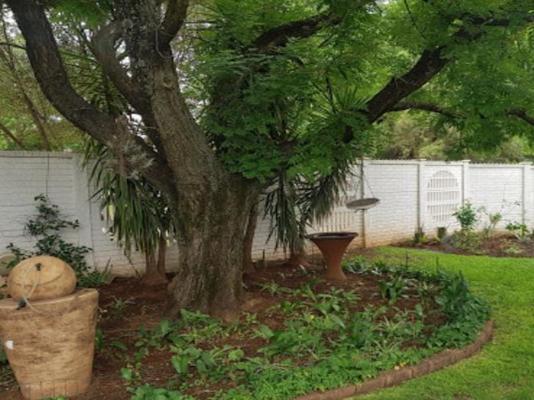 Huis Afrika - 236621