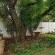 Huis Afrika - 236621