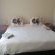 Huis Afrika - 236624
