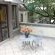 Villa Lugano Guesthouse - 236809