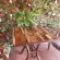 Royal Highness Lux Guesthouse - 236862