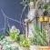 Sunward Park Guest House and Conference Centre - 237199