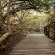 Kwantu Private Game Reserve - 237409