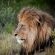Kwantu Private Game Reserve - 237413