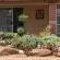 African Elephant Guest House - 237742