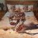 African Elephant Guest House - 237758