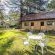 Wyndford Holiday Farm - 237889