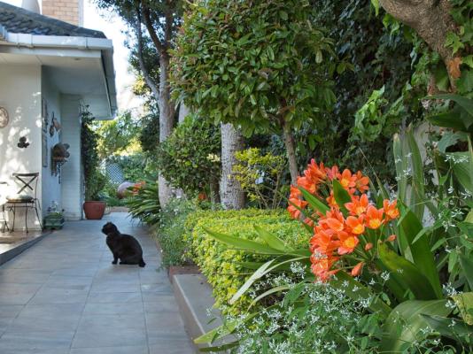 Carslogie House - 237942