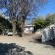 B&B @ Bloem - 238038