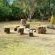Kingfisher Lodge - 238361