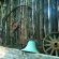 Kingfisher Lodge - 238362