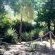Kingfisher Lodge - 238366