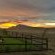 Rolling Hills Farmstead - 238523