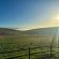 Rolling Hills Farmstead - 238526