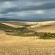 Rolling Hills Farmstead - 238529
