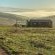 Rolling Hills Farmstead - 238548