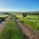 Rolling Hills Farmstead - 238554