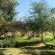 Sanctuary of The Heart - 239158