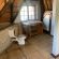Sanctuary of The Heart - 239161