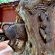 Winterfell Lephalale Lodge - 239665