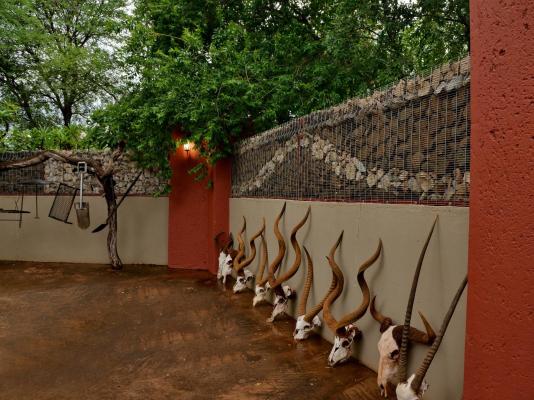 Winterfell Lephalale Lodge - 239675