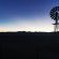 Rooidakkies - 240011