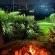 Shabbat Guest House and Spa - 240099