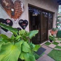 Serendipity Polokwane - 240137