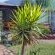 Serendipity Polokwane - 240141