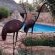 Seldré Guest House - 240280