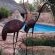 Seldré Guest House - 240280