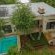 Afri Villa Stays - 240410