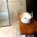 De Kaapse Rust Boutique Guesthouse & Venue - 240460