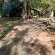 Lush Horizons Game Lodge - 240633