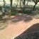Lush Horizons Game Lodge - 240634
