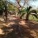 Lush Horizons Game Lodge - 240639