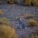 Desert Wind Private Guest and Game Farm - 240701