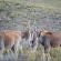 Desert Wind Private Guest and Game Farm - 240705