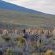 Desert Wind Private Guest and Game Farm - 240707