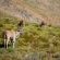 Desert Wind Private Guest and Game Farm - 240709